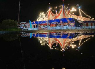 The Big Circus estreia com “Mundo dos Dinossauros” no Shopping Boulevard