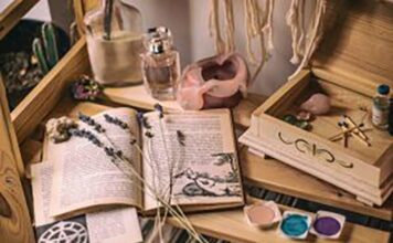 Andando pelas páginas de Curitiba