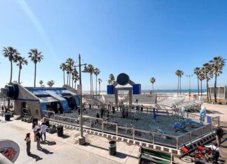 A Mude, pioneira em transformar cidades em espaços de bem-estar no Brasil, participa do 10ª edição Arnold South America, o maior evento multiesportivo da América do Sul