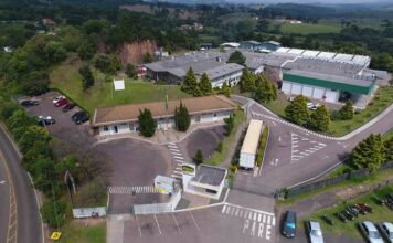 Praticidade sustentável: empresa paranaense é a primeira do estado do setor de alimentação a receber certificação do Selo B