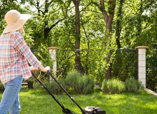 Evite erros comuns e faça seu aparador de grama durar mais