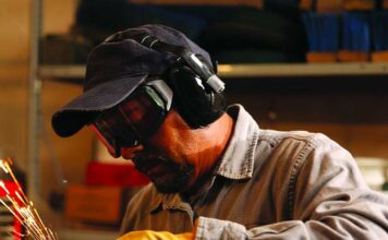 Saiba como ganhar produtividade na atividade de colheita florestal