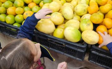 Lugar de criança é no supermercado e na cozinha!