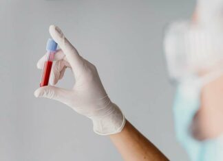 Sangue tem prazo de validade? Descubra por que é tão importante doar com regularidade