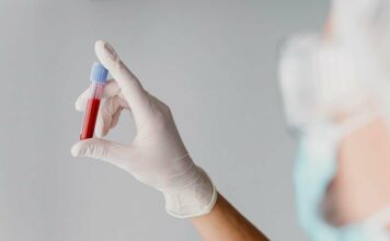 Sangue tem prazo de validade? Descubra por que é tão importante doar com regularidade