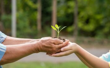 Projeto mede e zera pegada de carbono em comunidade escolar