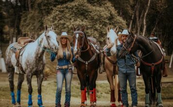 Equitação une saúde física, mental e contato com a natureza