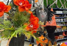 Halloween: saiba onde encontrar itens para sua festa a partir de R$2,90