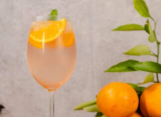 Tendência do verão: 5 dicas de chás que transformam drinks para as festas de fim de ano