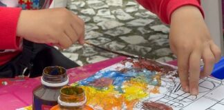 Domingo no Centro: última edição do ano terá feira deadoção de animais, distribuição de livros e brinquedos infláveis