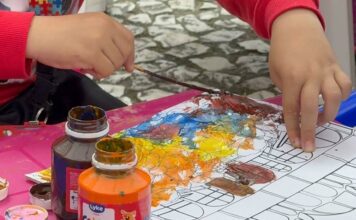 Domingo no Centro: última edição do ano terá feira deadoção de animais, distribuição de livros e brinquedos infláveis