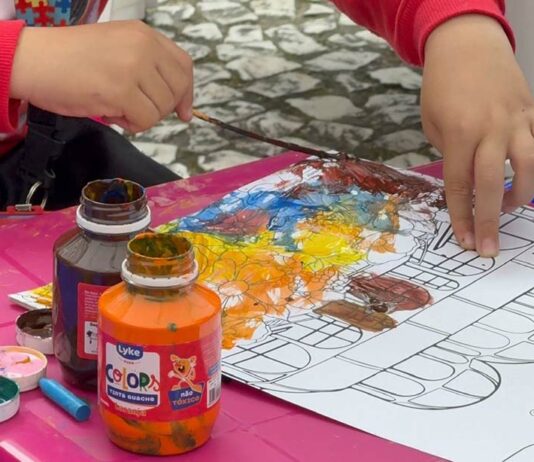 Domingo no Centro: última edição do ano terá feira deadoção de animais, distribuição de livros e brinquedos infláveis