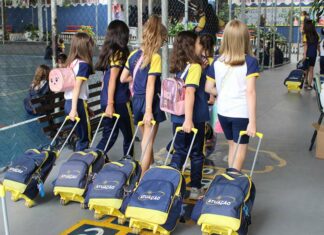 Volta às aulas: rotina e redução no uso de telas evita diminuição do aprendizado